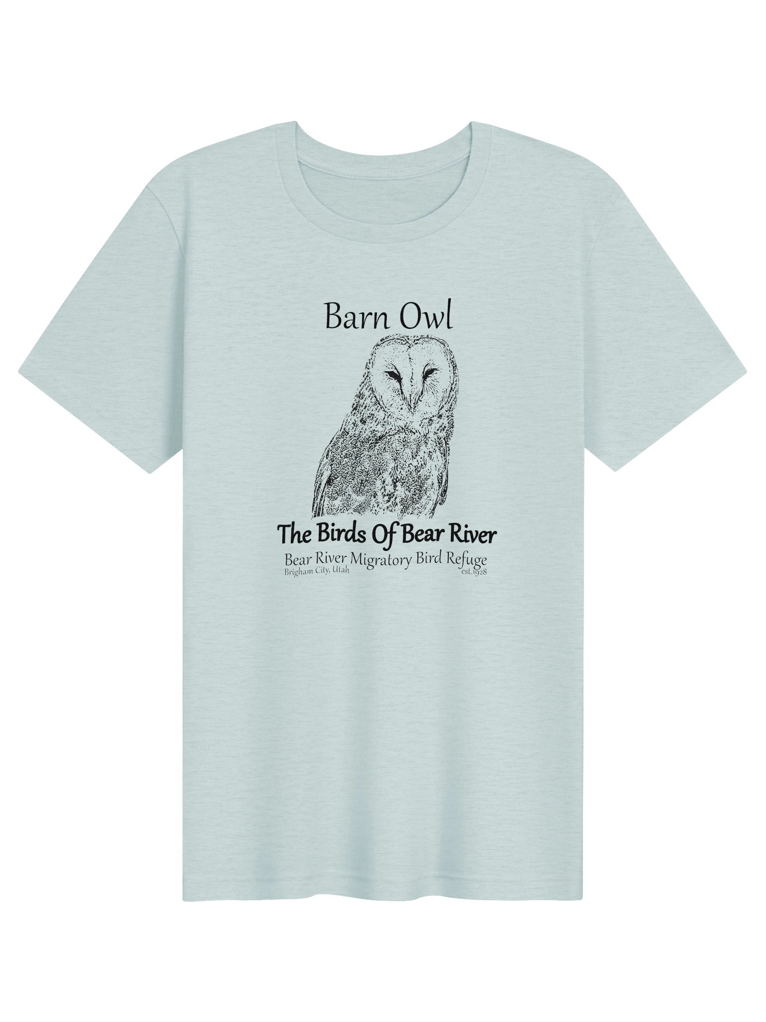Birds of Bear River Barn Owl T-Shirt product image (113)