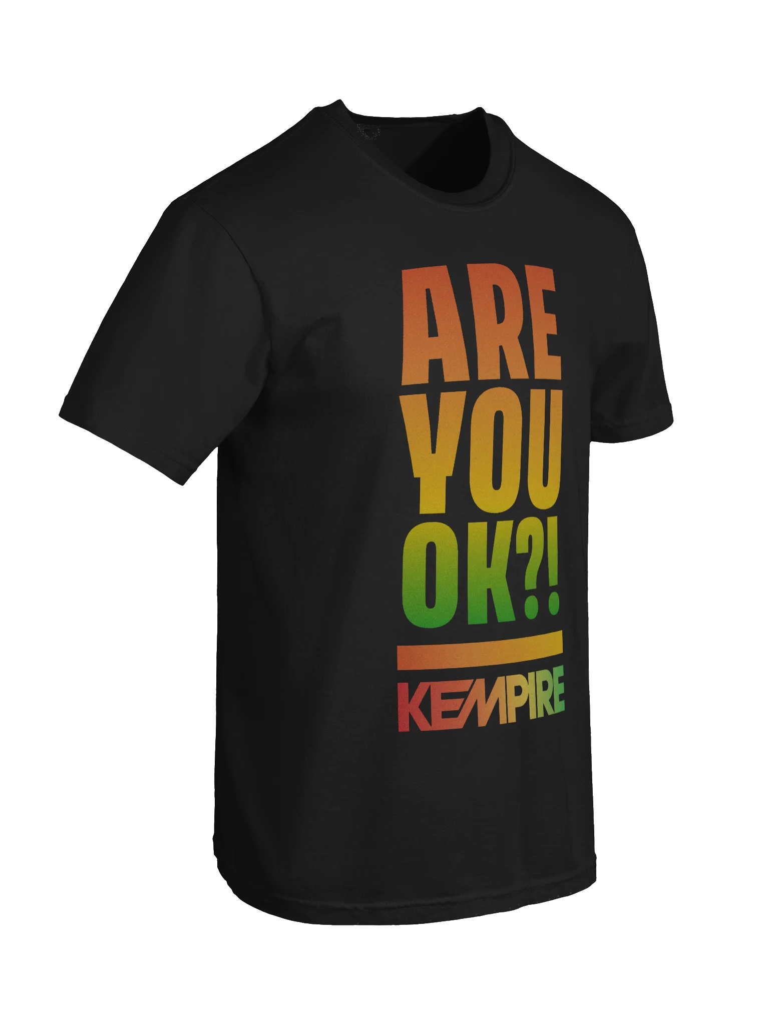 Are You Ok? Tee product image (47)