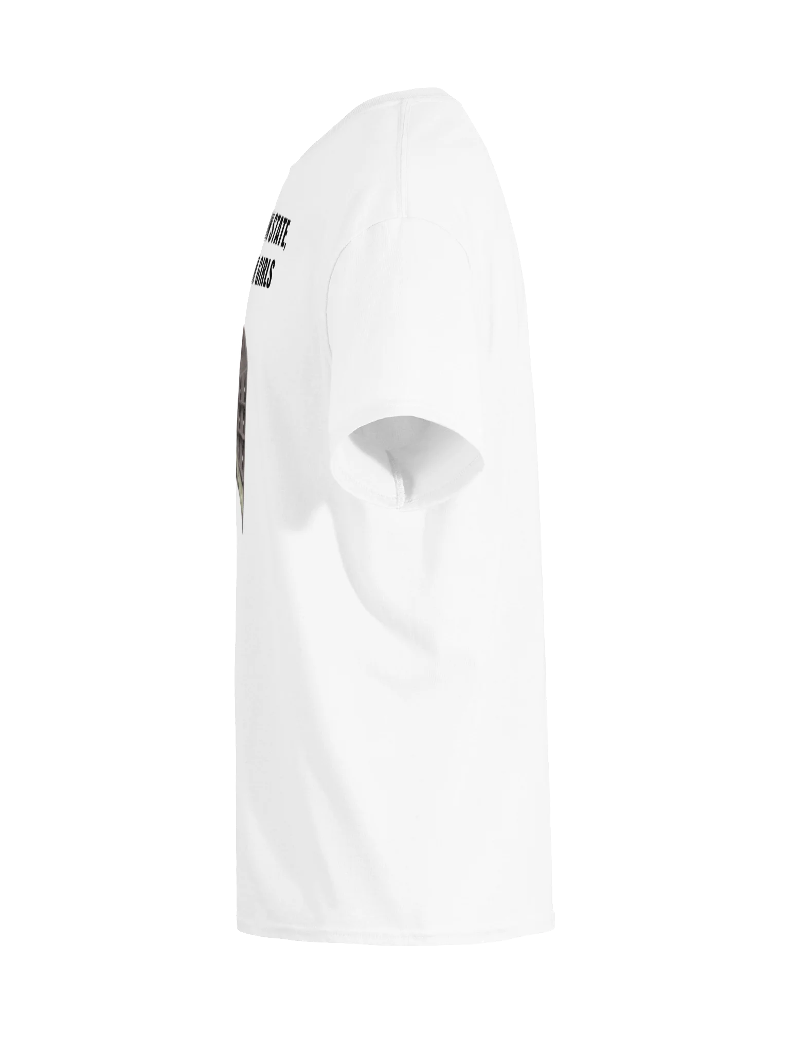 IN A PANOPTICON STATE, WE'RE ALL CAM GIRLS product image (119)