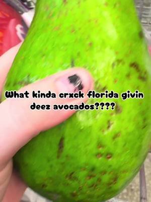 Florida avocados are built different I guess #florida #avocado #hugeavocado #groceries #grocery 