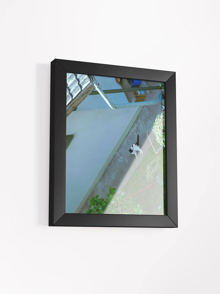 Urban Feline Serenity Poster product image (52)