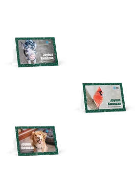 Kwanzaa card bundle