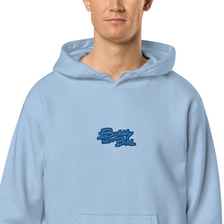 Bubbly and a B*tch (C. creek design) embroidered pigment-dyed hoodie product image (2)