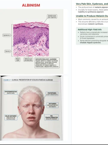 IvyTutoring Step 1 HY Book - Dermatology product image (2)