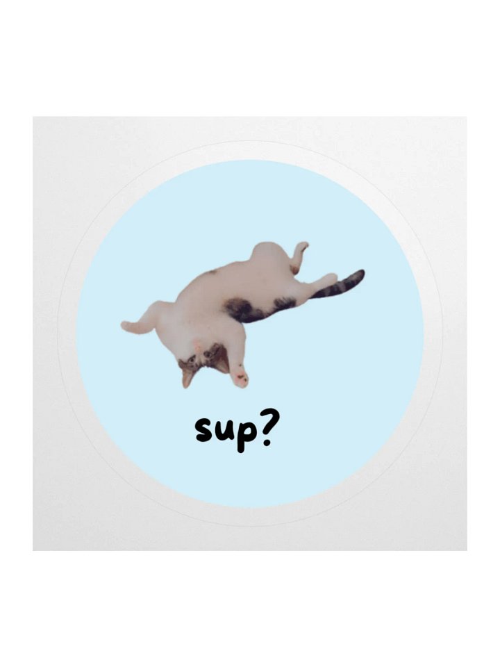 Ollie "Sup?" Sticker product image (1)