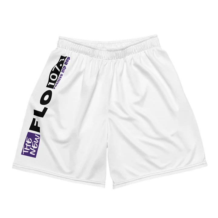 THE NEW FLO 107.1 Mesh Shorts product image (2)