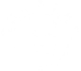 GMODISM