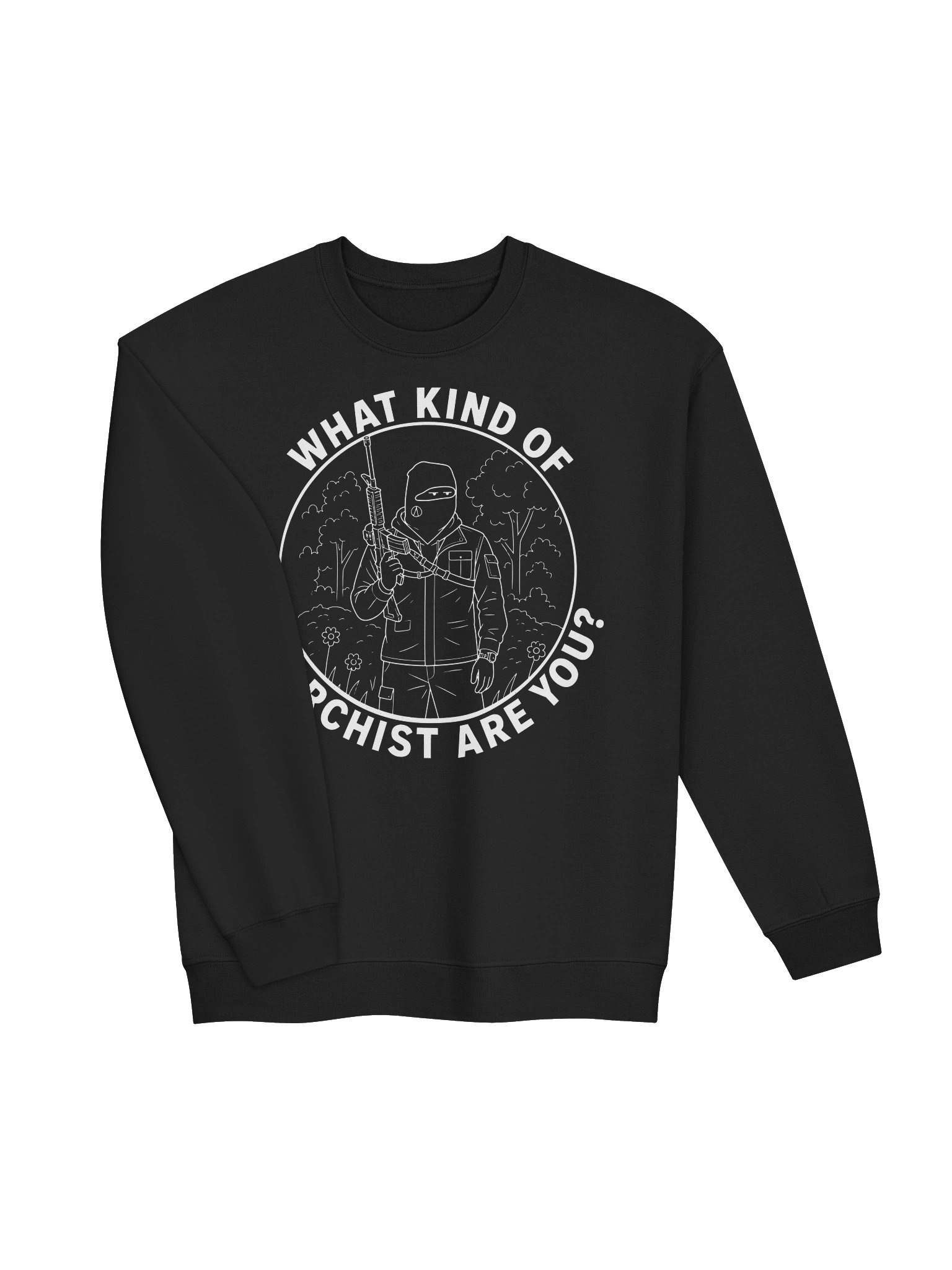 WHAT KIND OF ANARCHIST ARE YOU? product image (3)