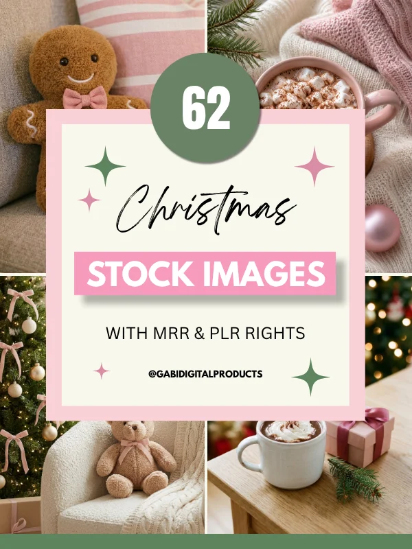 MRR/PLR Christmas Stock Photos product image (1)