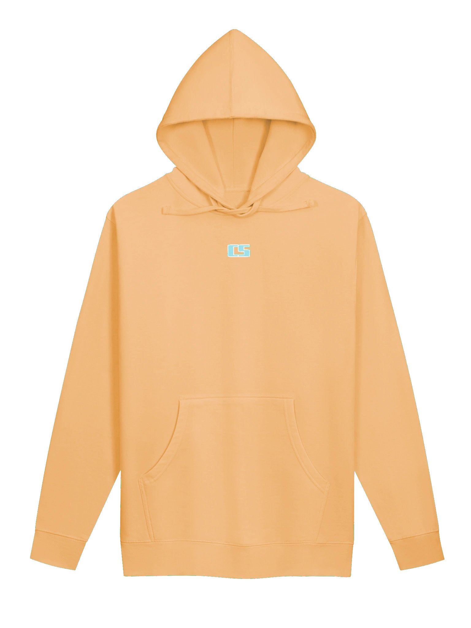 CS Hoodie product image (5)