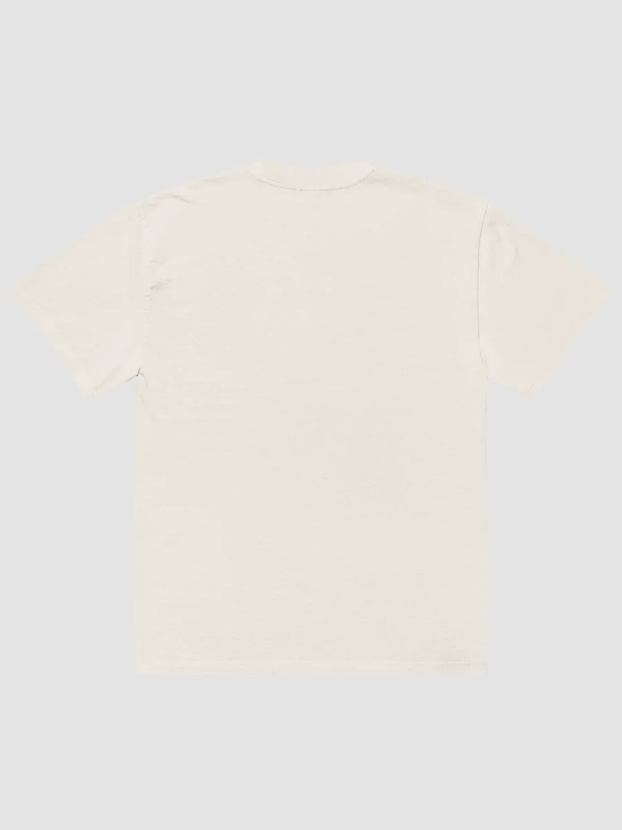 Bookshelf Roast Oversized Faded Tee product image (5)