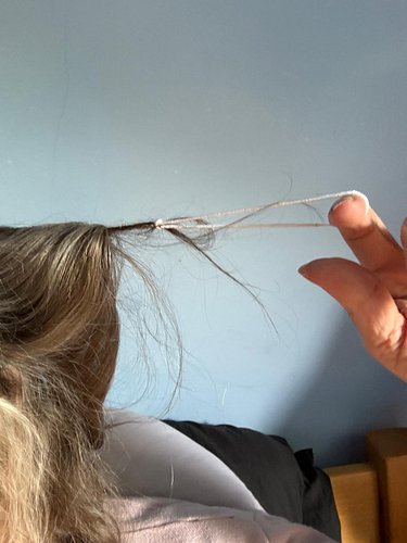 How is your day going? 

For me: this. I do not want Mick to come at me with shears ✂️

Update: Mick sorted it without anythi...