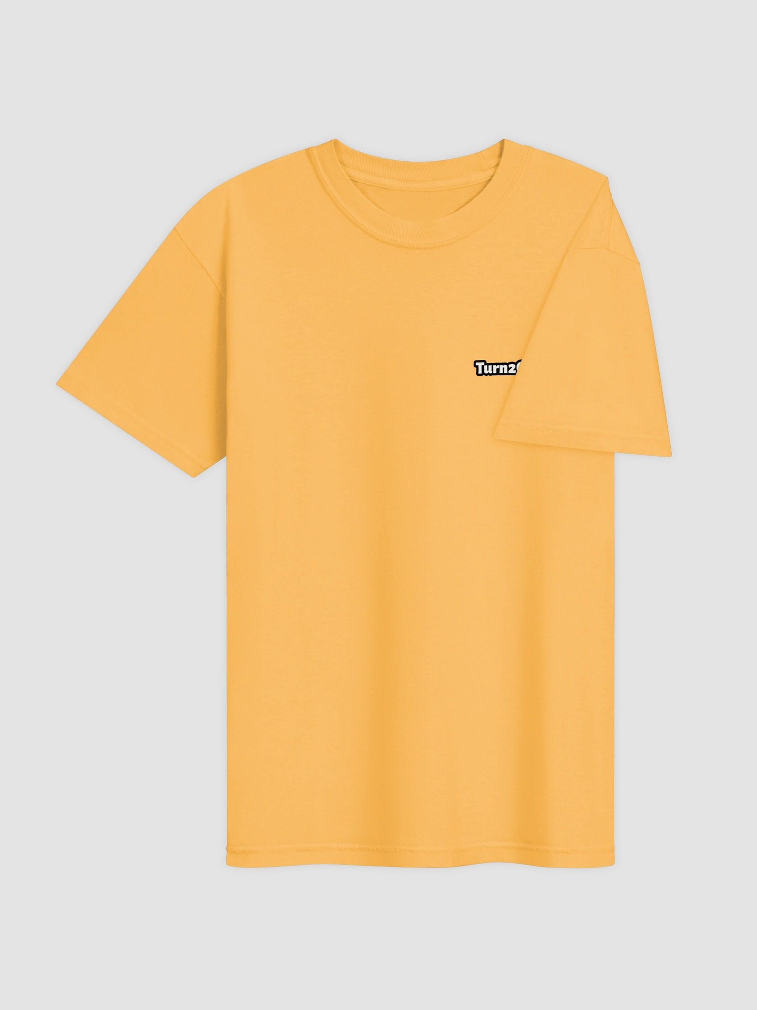 Turn2Culture Garment-Dyed Heavyweight T-Shirt product image (4)