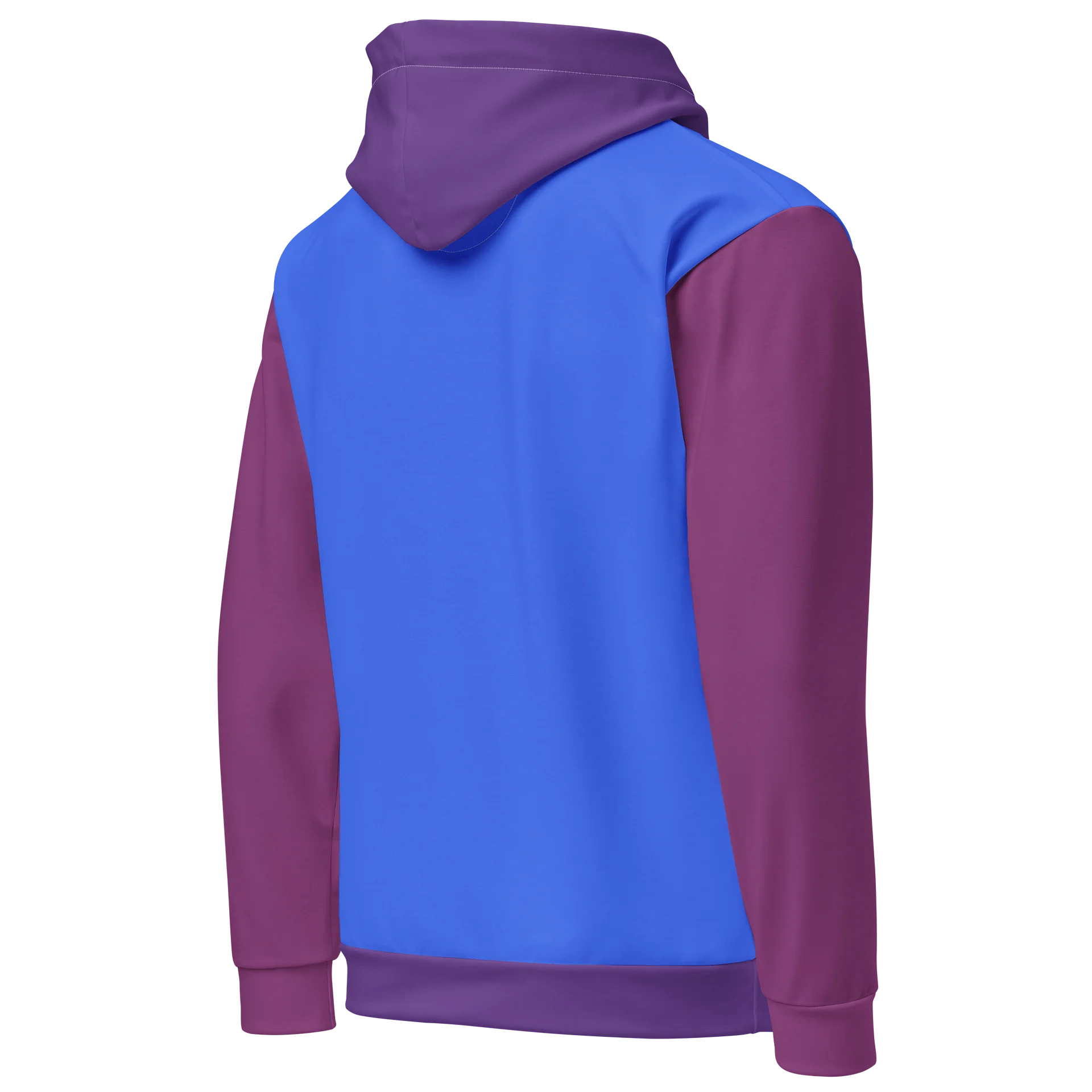 The Official Color Block Hoodie product image (5)