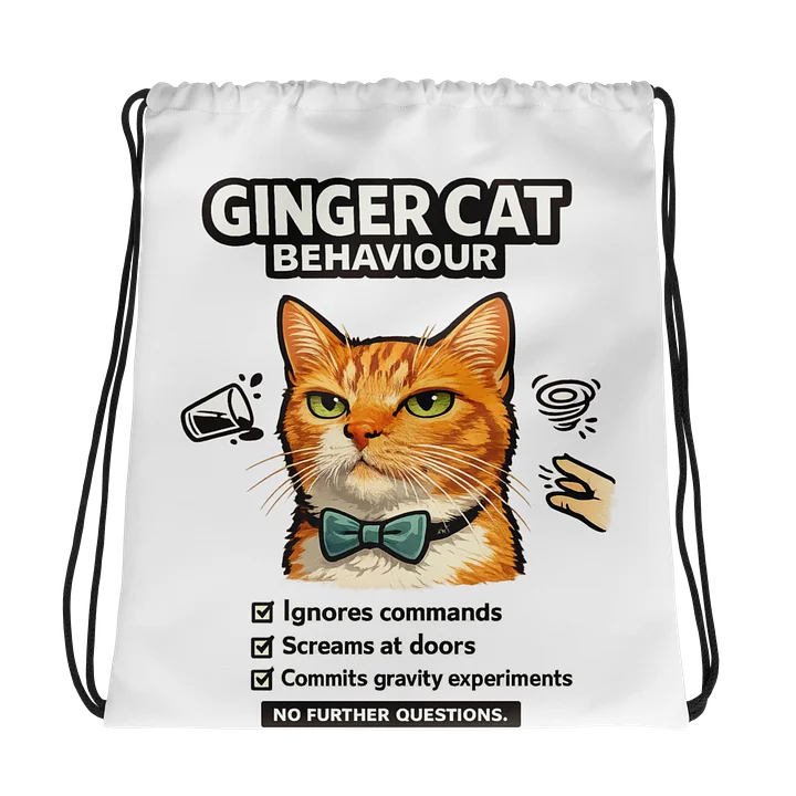 Ginger Cat Checklist Drawstring Bag product image (1)