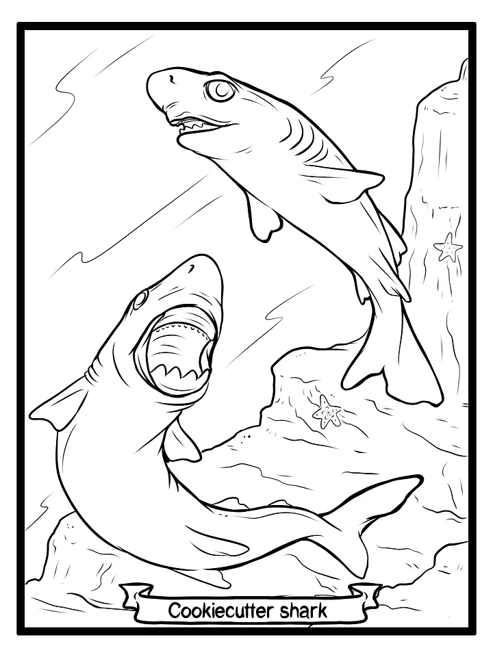 Cookiecutter Shark Coloring pages product image (1)