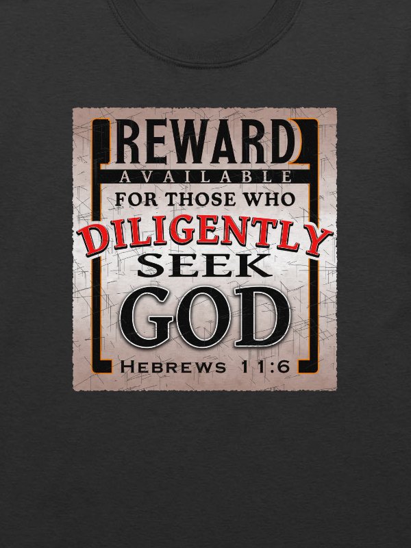 Reward For Those Who Diligently Seek God T-Shirt product image (2)