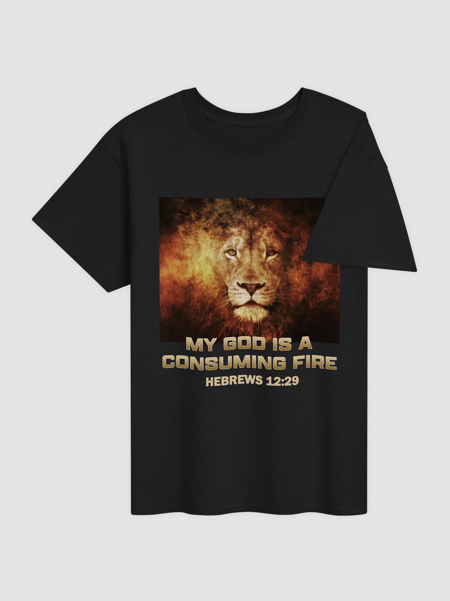 My God Is A Consuming Fire T-Shirt product image (10)