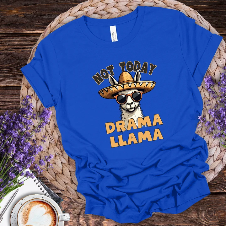 Drama Llama Tee product image (5)