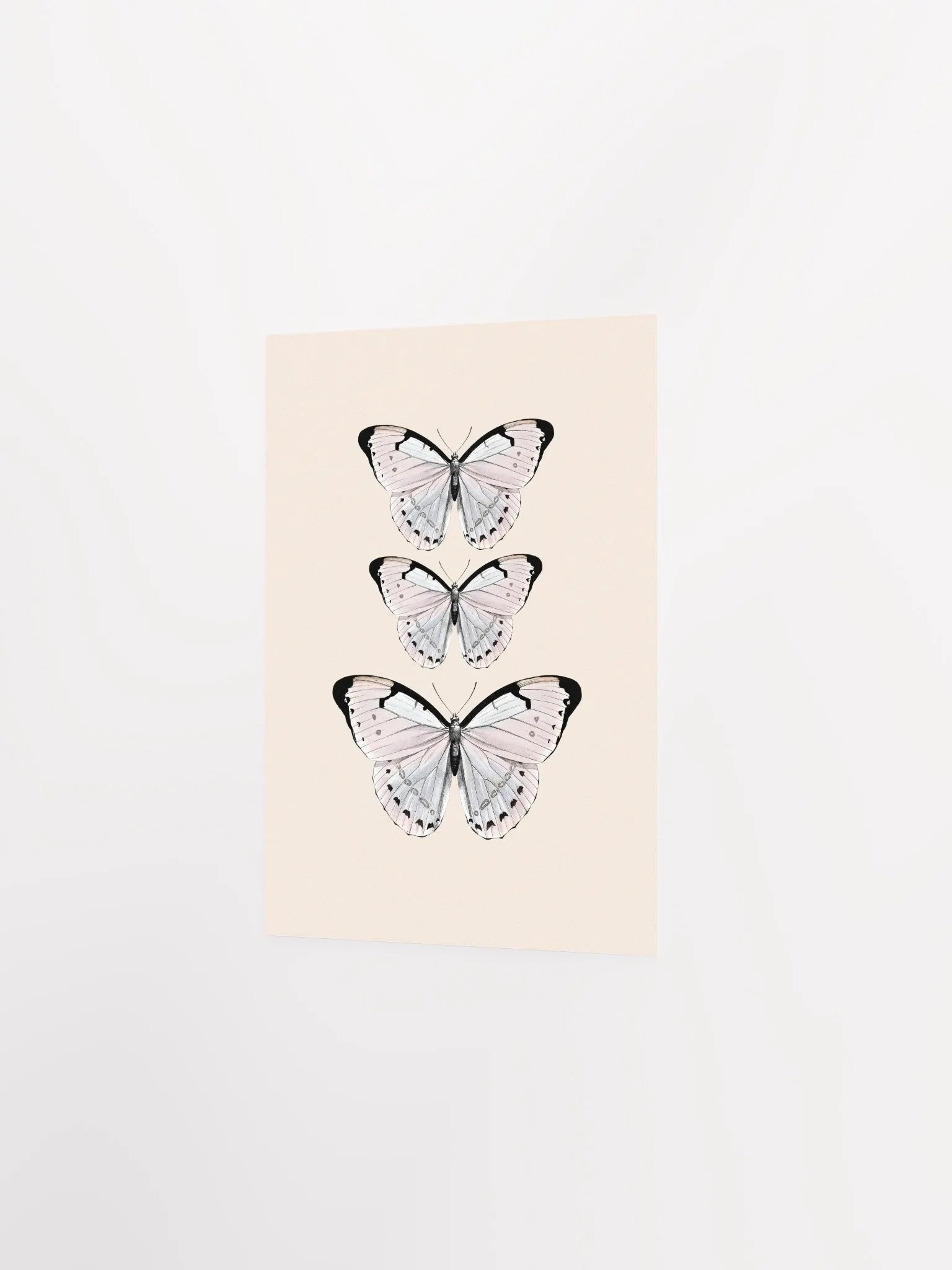 Butterfly Trio Matte Poster product image (11)