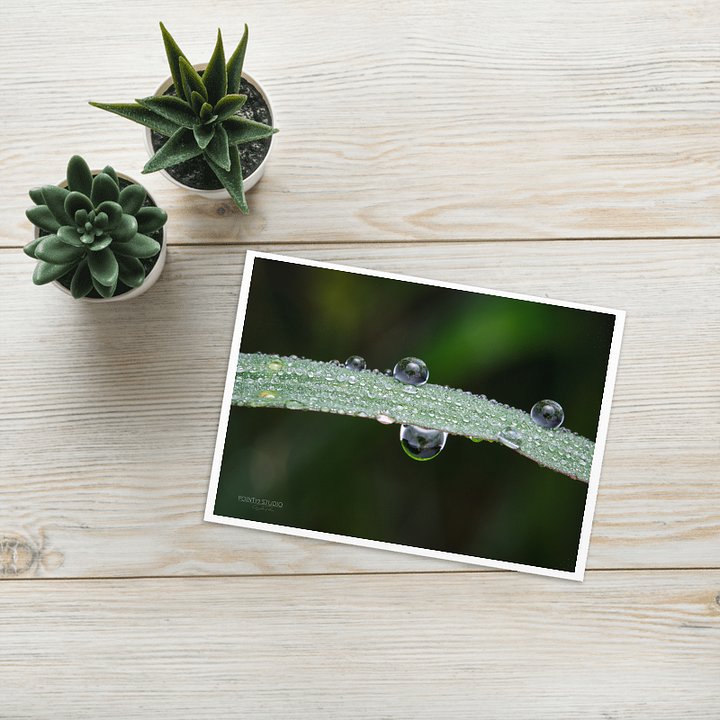 Laughing At Gravity Greeting Card product image (1)