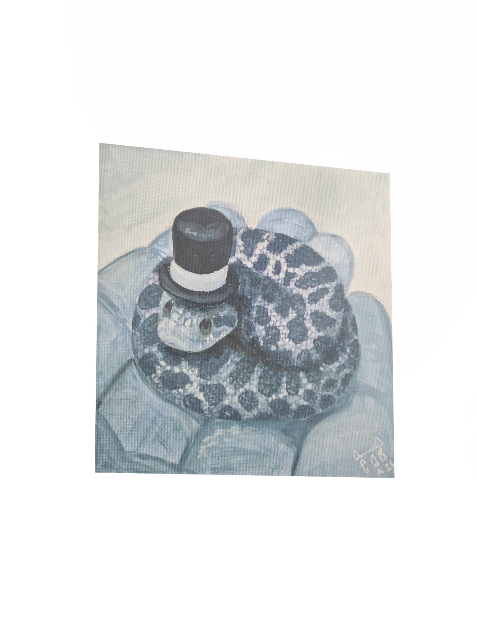 Hat Snake print product image (12)