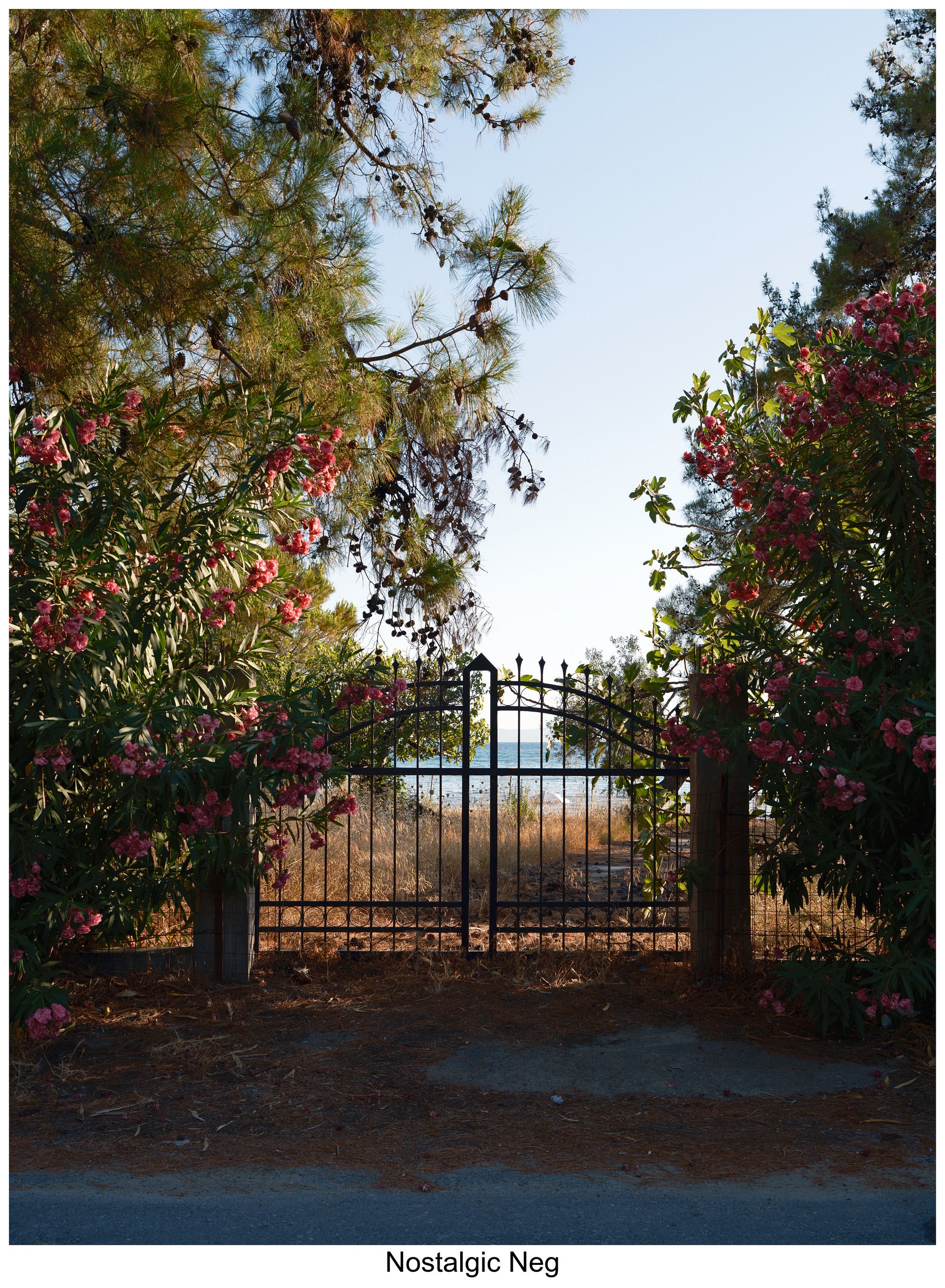 Fujify [Sony] Lightroom Profiles - Essential Pack product image (5)