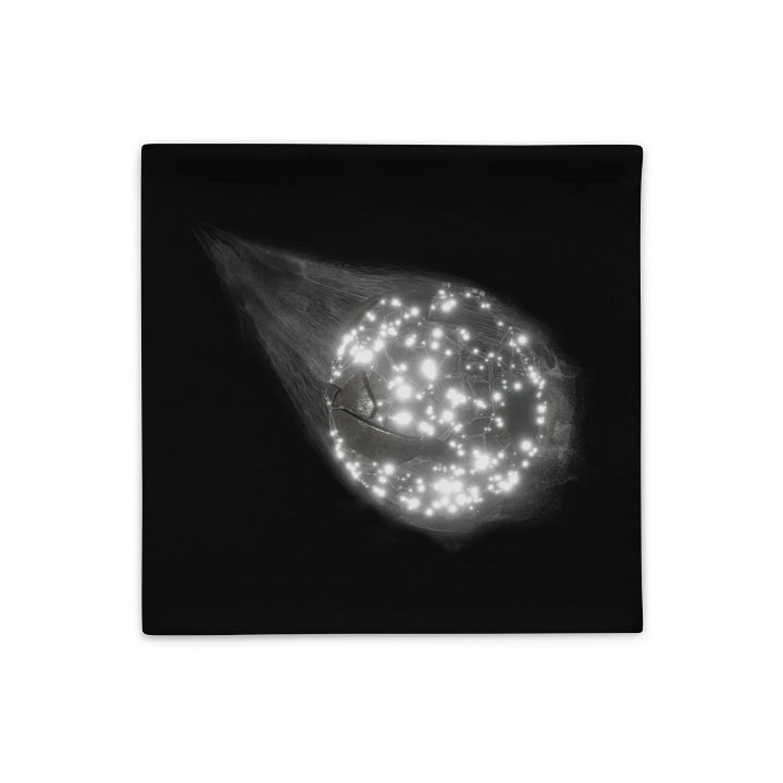 3I Atlas Cushion Cover product image (2)