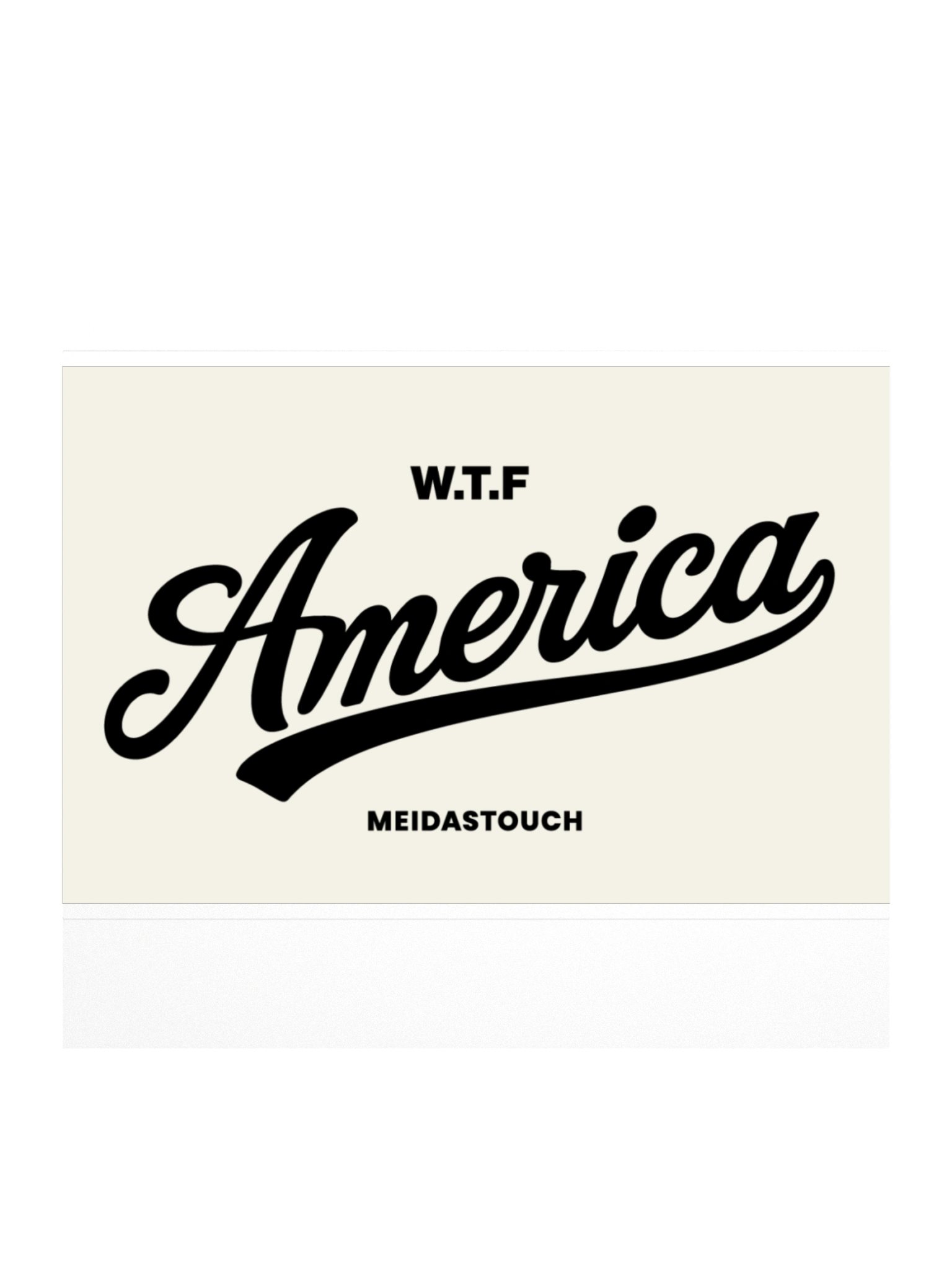 WTF America Sticker product image (1)