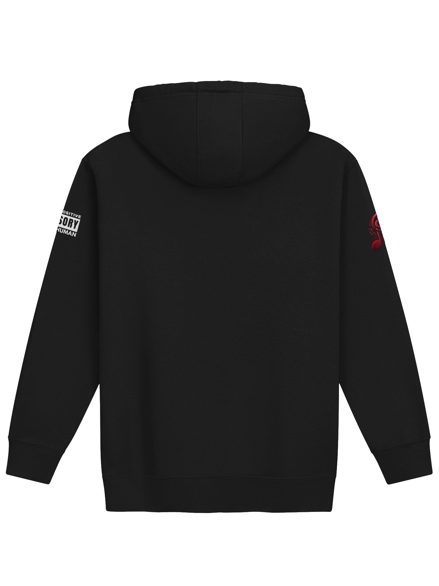 Official "JukeBrio" Hoodie product image (2)