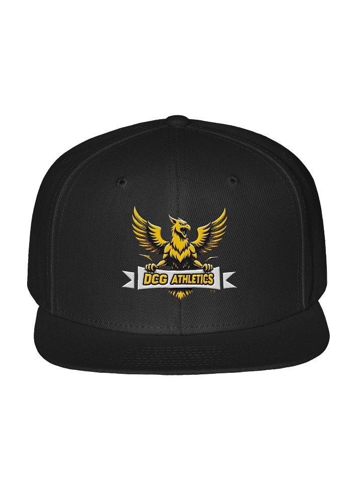 Rise of the Phoenix Snapback Cap product image (5)
