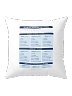 Spanish Regular -AR Verbs Conjugation Pillow