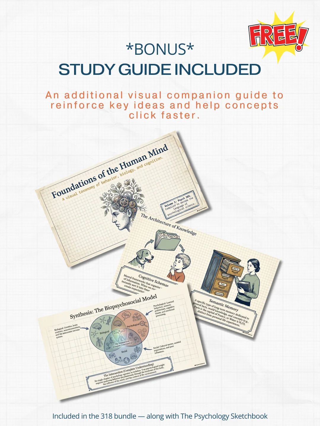 318 Illustrated Psychology Terms: Complete Visual Study Library product image (6)