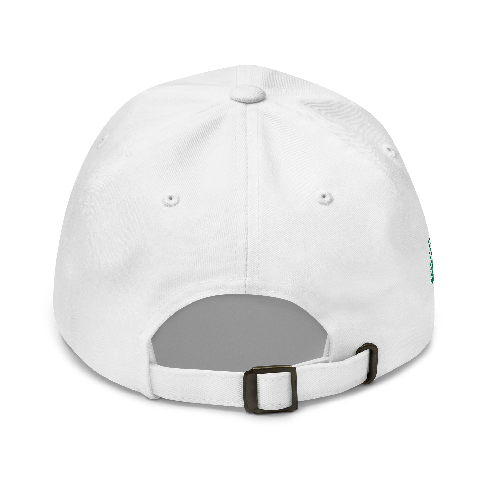 Authenticity Speed Logo hat product image (5)