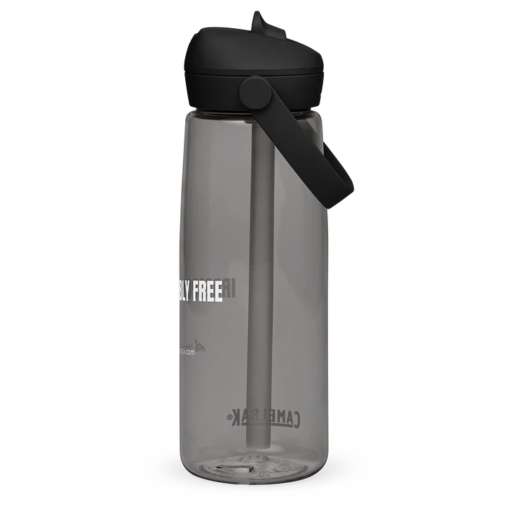 Irresponsibly Free CamelBak Straw Bottle product image (2)