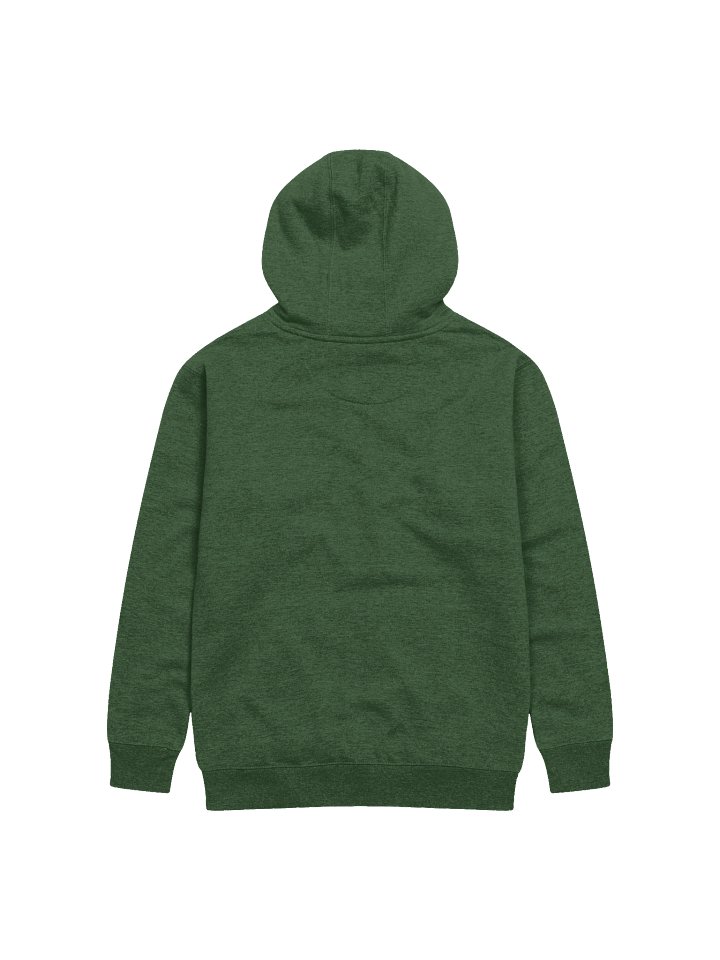 Vintage Green RO Hoodie product image (2)