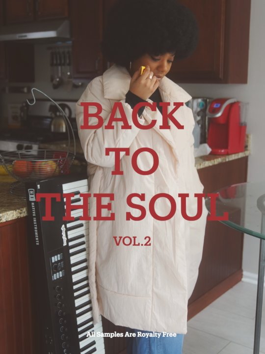 Back To The Soul Vol. 2 (SAMPLE PACK) product image (1)