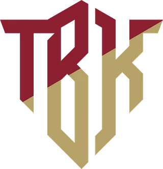 TheBleacherKings
