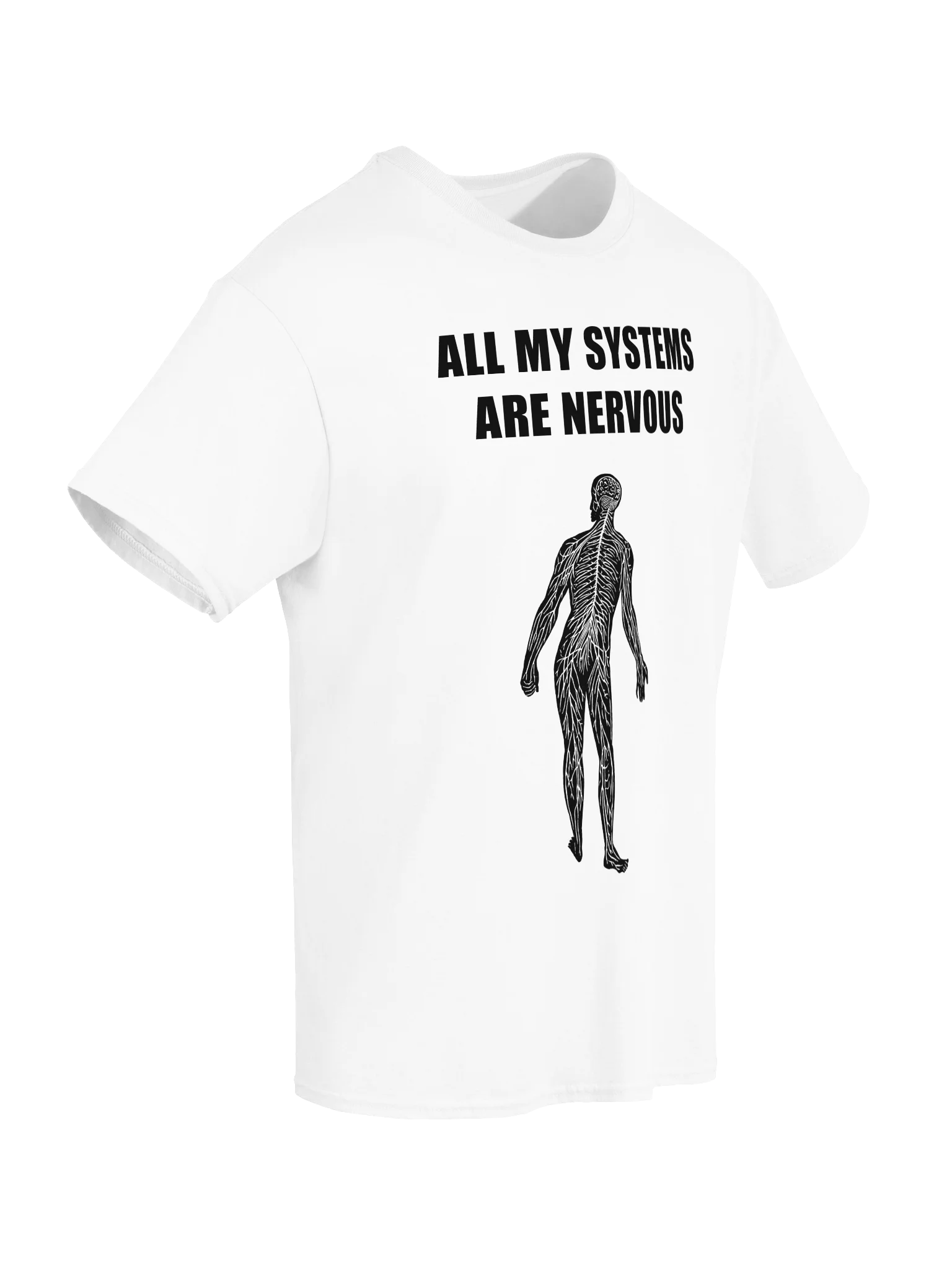 ALL MY SYSTEMS ARE NERVOUS product image (116)