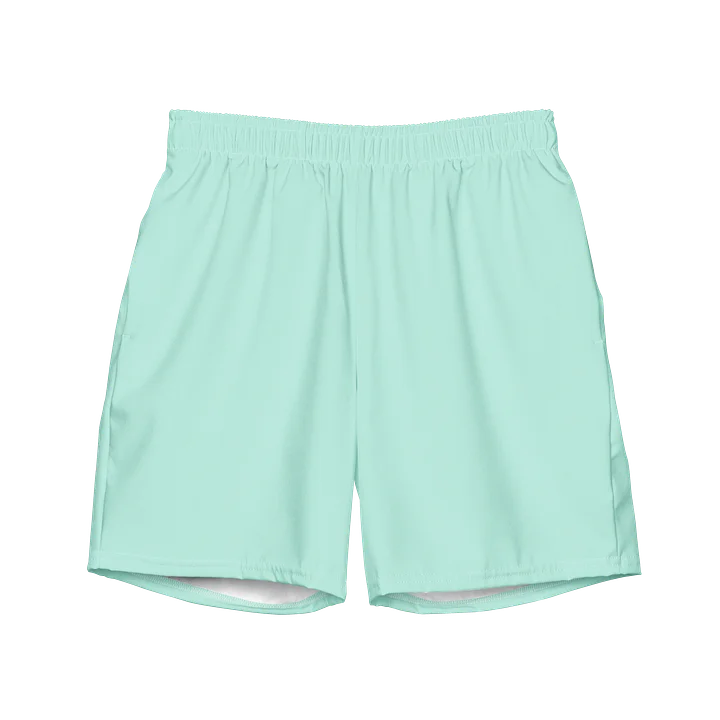 Mint Aqua Swim Trunks product image (1)