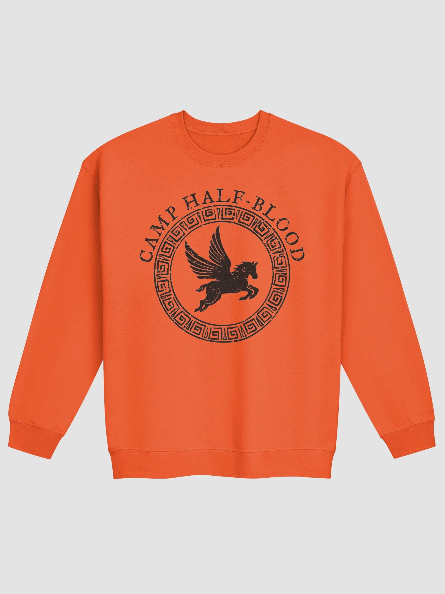 Camp Half Blood Jumper product image (1)