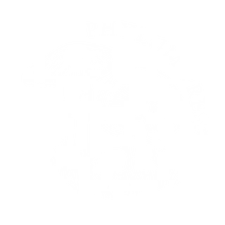 Phylum Press