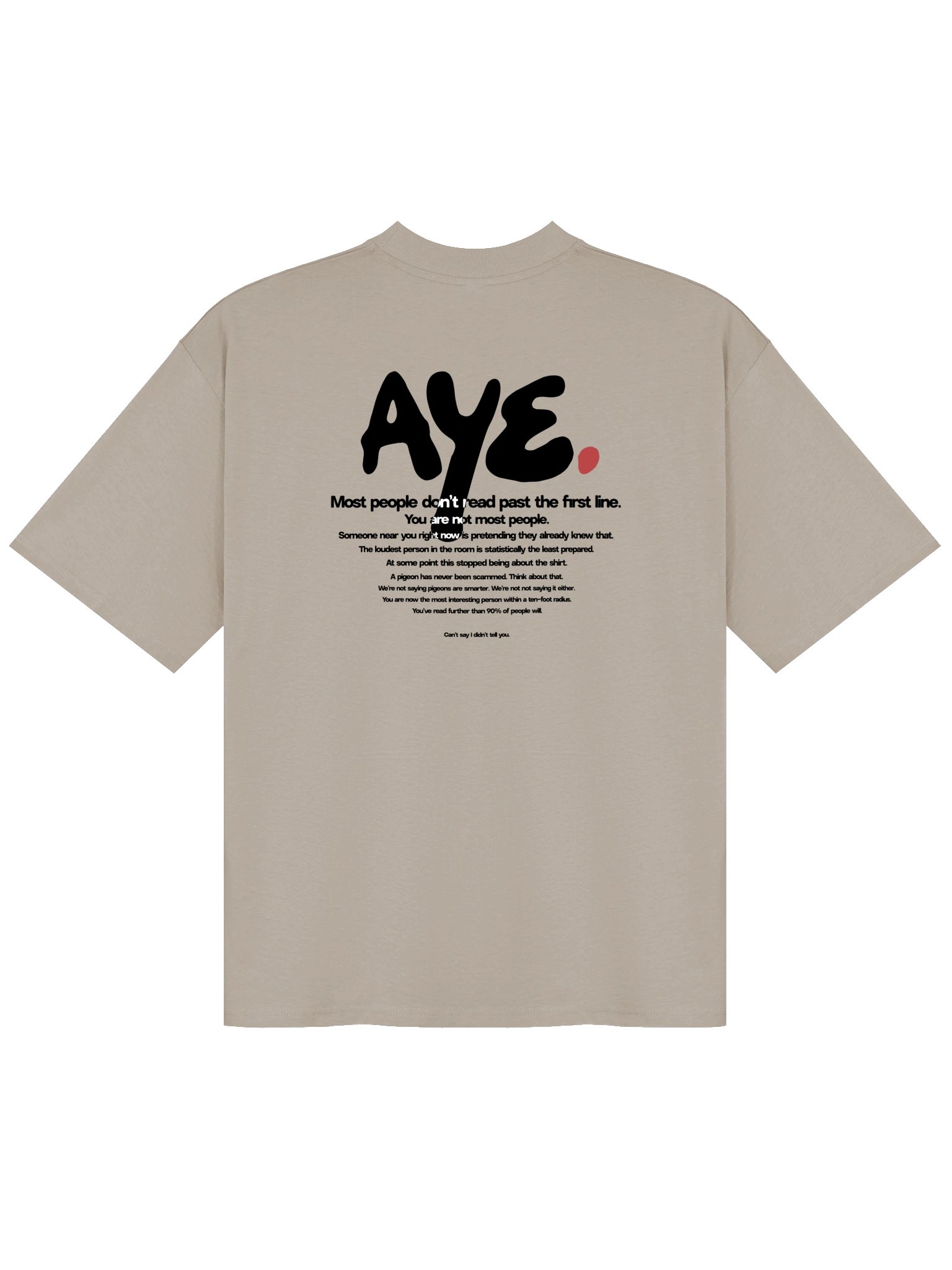The "Aye Avatar" Embroidered Oversized Tee (in the Light) product image (3)