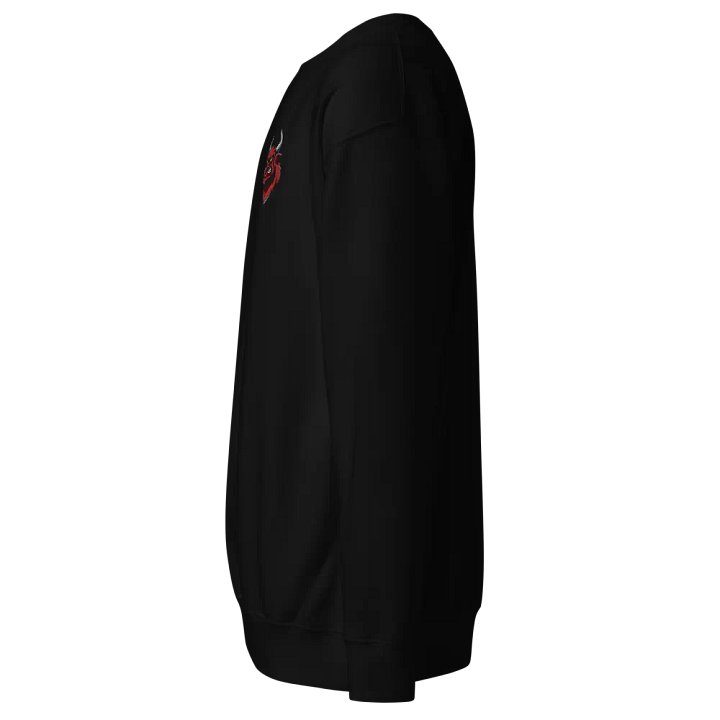 The Zema Sweat Shirt product image (5)