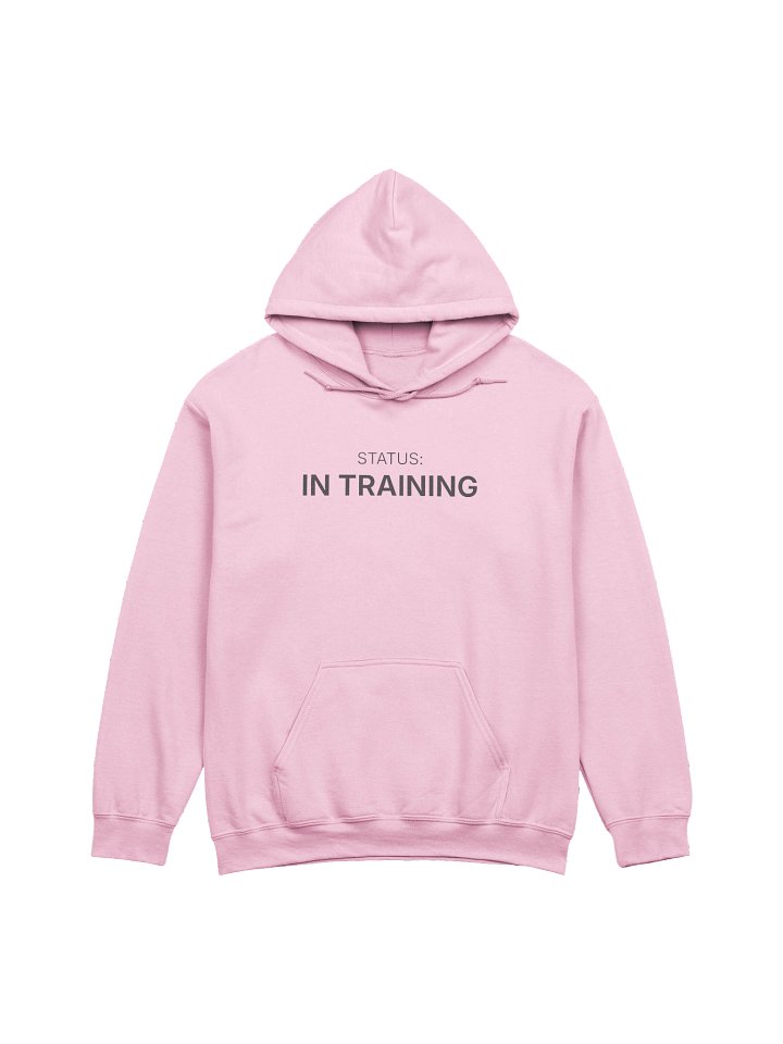 STATUS: IN TRAINING | Professional Identity Hoodie product image (5)