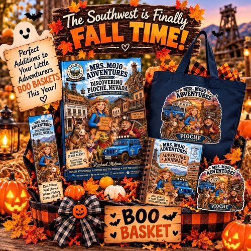 🎃 The Southwest is FINALLY starting to feel like fall! 🎃🍂

Cooler mornings, pumpkins, Halloween decorations… and BOO BASKET s...