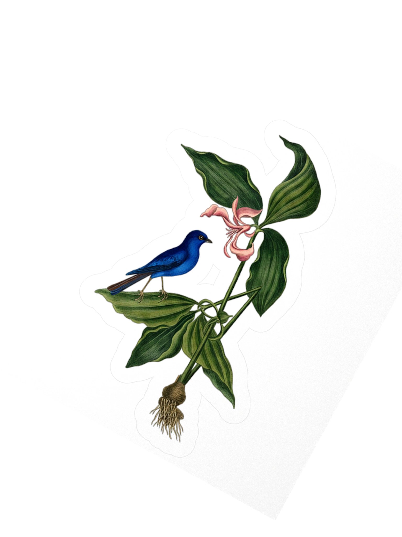 Trillium & Bunting Sticker product image (6)