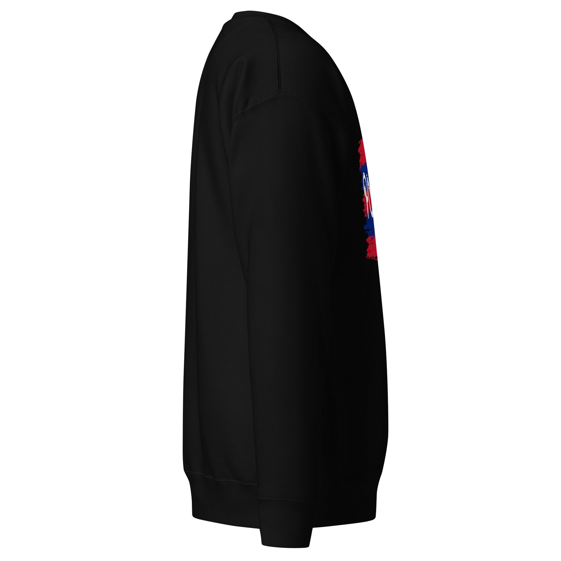 POA 72 Brush-Stroke Sweatshirt product image (11)