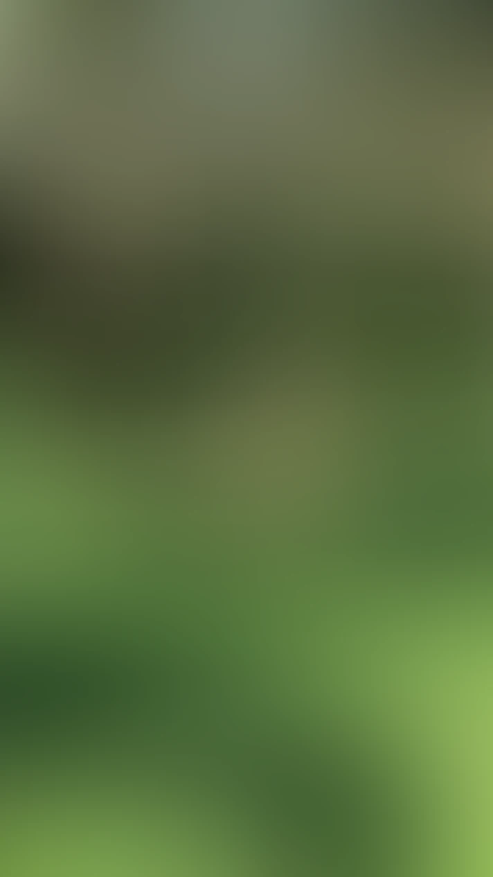 Video thumbnail background