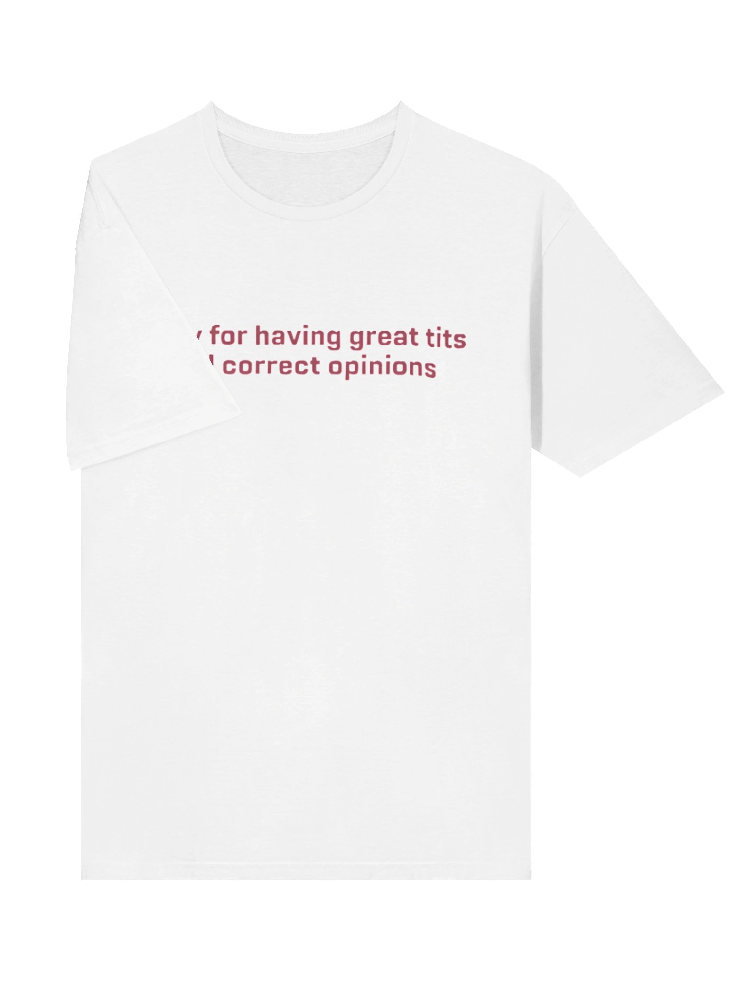 Sorry For Having Great Tits And Correct Opinions Feminist Statement Shirt product image (10)